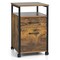 Mobile 2-Drawer File Cabinet and Printer Stand with Open Storage